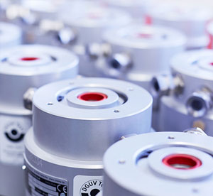 1623315129689391.jpg 300.jpg